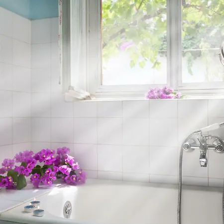 Aras Wind Rose Supetar