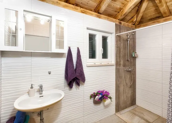 Aras Wind Rose San Pietro di Brazza