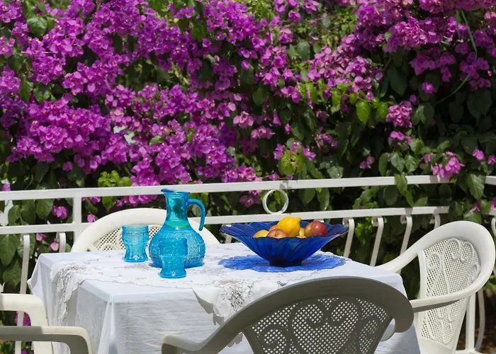 Aras Wind Rose San Pietro di Brazza