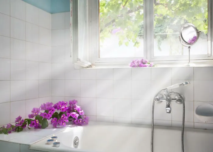 Aras Wind Rose San Pietro di Brazza